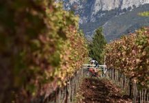 Campania Cross: ad Eboli emozioni forti con il ciclocross alla Masseria del Cuccaro