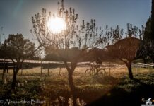 Trofeo Triveneto Ciclocross: le classifiche di Motta di Livenza