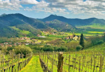 Il 28 agosto aprono le iscrizioni per l’XC Galzignano Terme