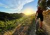 Nasce The Wild Woods: XC, gravel e granfondo nei Colli Euganei