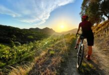 Nasce The Wild Woods: XC, gravel e granfondo nei Colli Euganei