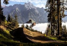 Gravity Card: per scoprire i percorsi leggendari di tutta Europa