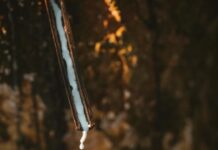 Schwalbe festeggia il quinto anniversario con Fair Rubber